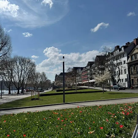 Rhine & Wine Κόμπλεντς